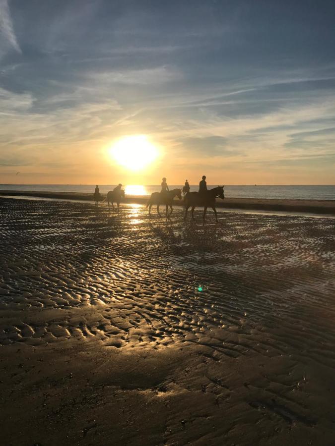 Etoile Aan Zee Ξενοδοχείο Vrouwenpolder Εξωτερικό φωτογραφία